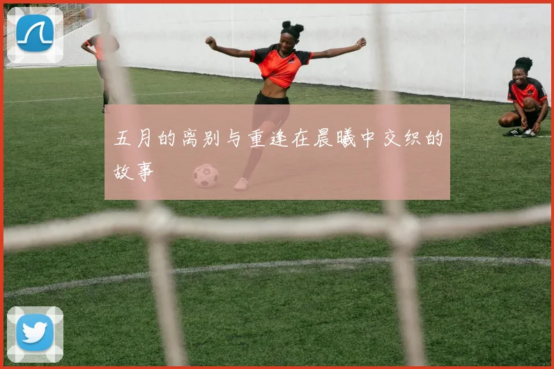 五月的离别与重逢在晨曦中交织的故事