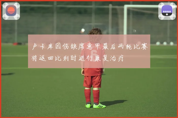 卢卡库因伤缺席意甲最后两轮比赛将返回比利时进行康复治疗